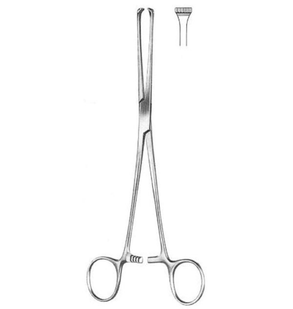 intestinal-tissue-forceps